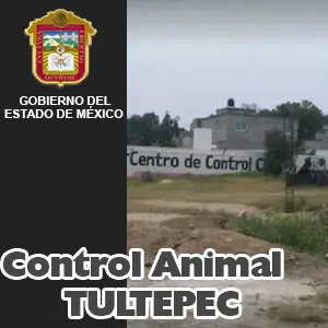 Centro De Control Canino Tultepec Miiatura