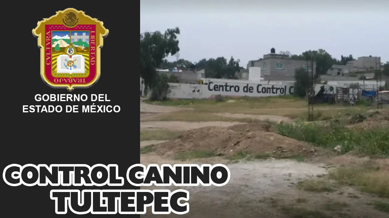 Centro De Control Canino Tultepece EDOMEX Titulo Centro De Control Canino Tultepece EDOMEX Titulo