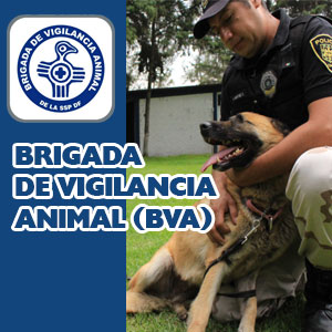 Brigada de Vigilancia Animal Xochimilco CDMX (BVA)