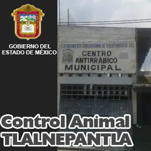Control Animal Centro Antirrabico Municipal Tlalnepantla EDOMEX principal