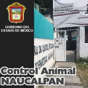 Control Animal Naucalpan EDOMEX Miniatura
