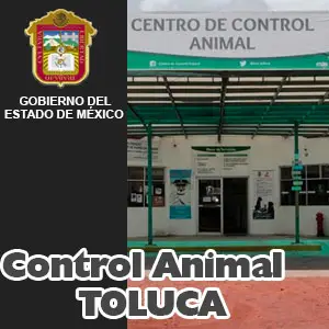 Control Animal Toluca EDOMEX Miniatura