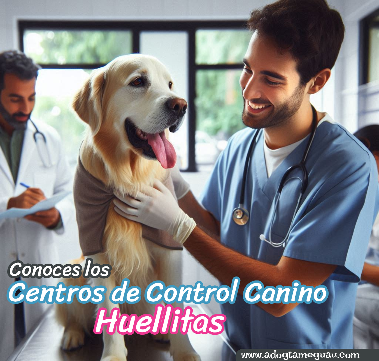 Médico veterinario atendiendo a un perro en el centro Huellitas