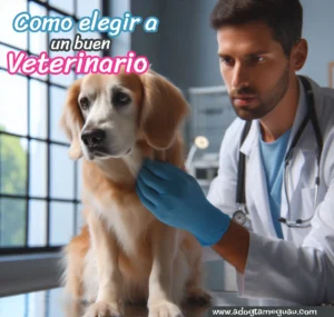 Veterinario atendiendo a un perrito durante una consulta médica
