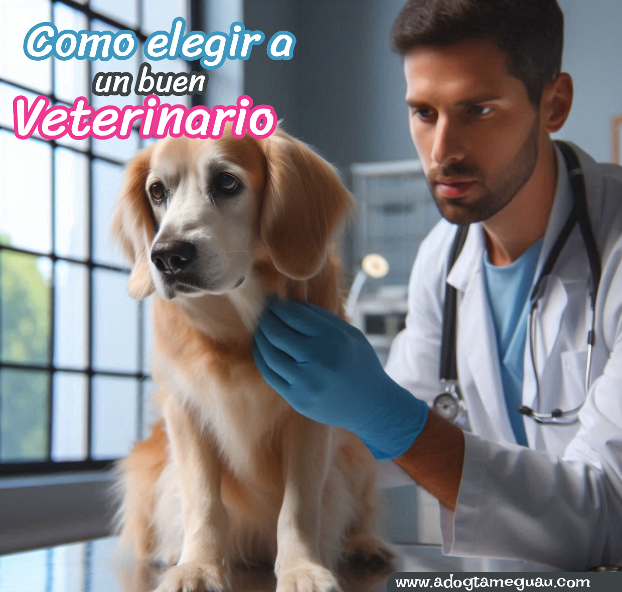 Veterinario atendiendo a un perrito durante una consulta médica