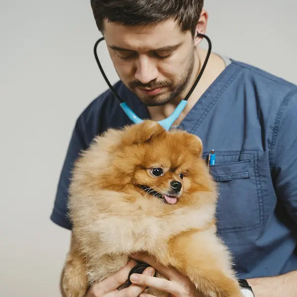 Doctor Veterinario con un perro