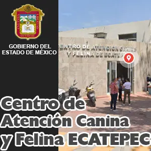 Centro de Atención Canina y Felina Ecatepec EDOMEX Miniatura