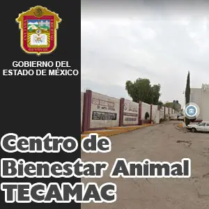 Centro de Bienestar Animal Tecamac EDOMEX Miniatura