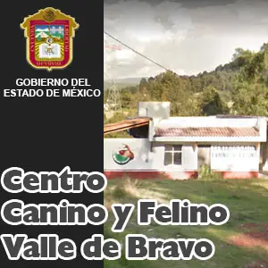 Centro de Canino y Felino Valle de Bravo EDOMEX Miniatuta