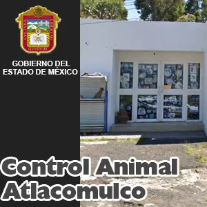 Control Animal Atlacomulco EDOMEX Miniatura