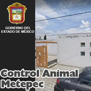 Control Animal Metepec EDOMEX Miniatura