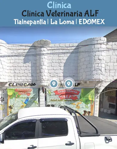 (Tlalnepantla) La Loma (Clínica Veterinaria ALF) EDOMEX