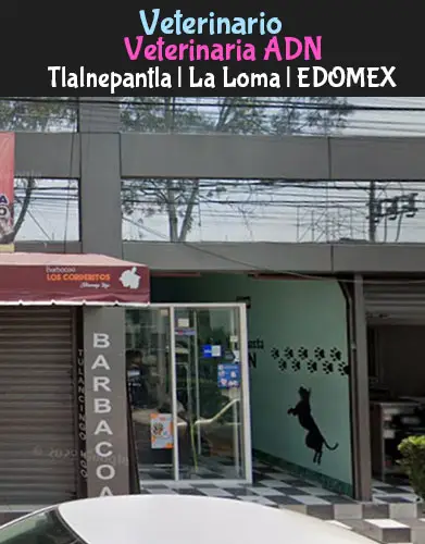 (Tlalnepantla) La Loma (Veterinaria ADN) EDOMEX