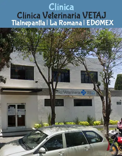 (Tlalnepantla) La Romana (Clínica Veterinaria VETAJ) EDOMEX
