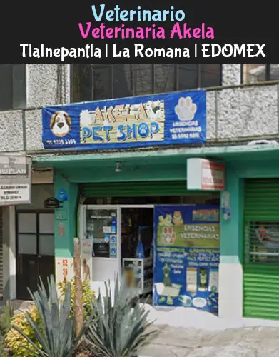 (Tlalnepantla) La Romana (Veterinaria Akela) EDOMEX