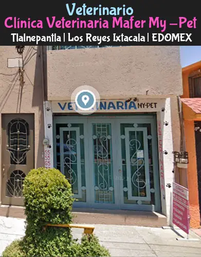 (Tlalnepantla) Los Reyes (Clinica Veterinaria Mafer) EDOMEX