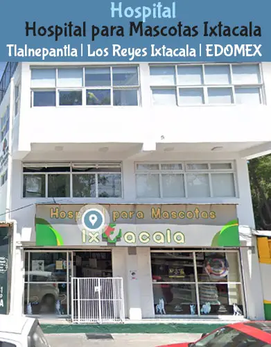 (Tlalnepantla) Los Reyes (Hospital para Mascotas Ixtacala) EDOMEX
