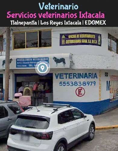 (Tlalnepantla) Los Reyes Ixtacala (Servicios veterinarios Iztacala) EDOMEX