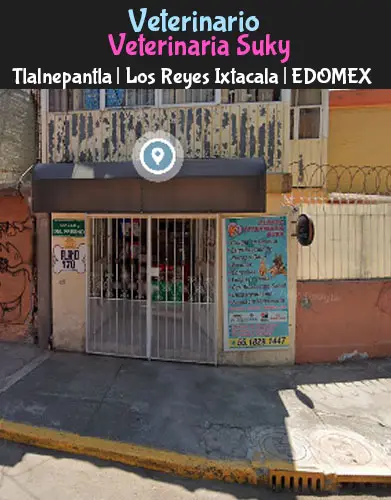 (Tlalnepantla) Los Reyes Ixtacala (Veterinaria SUKY) EDOMEX
