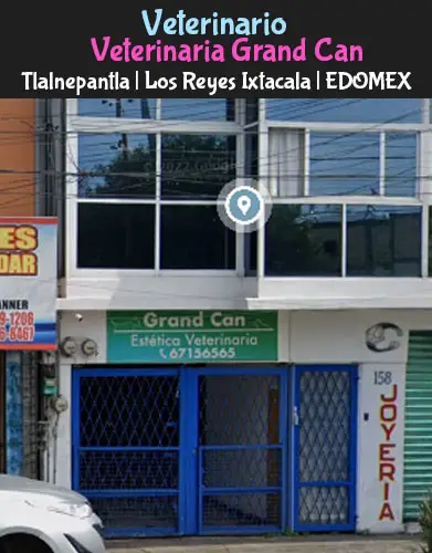 (Tlalnepantla) Los Reyes (Veterinaria Grand Can) EDOMEX