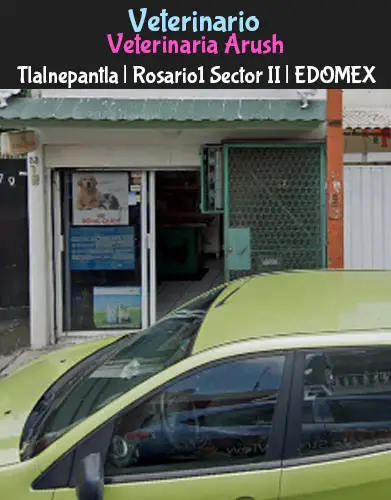 (Tlalnepantla) Rosario 1 Sector II (Veterinaria Arush) EDOMEX