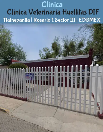 (Tlalnepantla) Rosario 1 Sector III (Clínica Veterinaria Huellitas DIF) EDOMEX