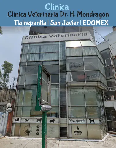 (Tlalnepantla) San Javier (Clínica Veterinaria Dr. H