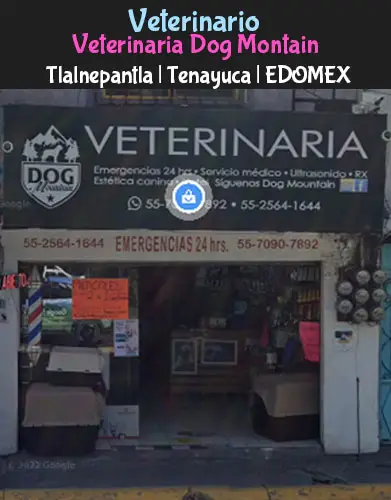 (Tlalnepantla) Tenayuca (Veterinaria Dog Mountain tienda) EDOMEX