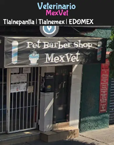 (Tlalnepantla) Tlalnemex (MexVet) EDOMEX
