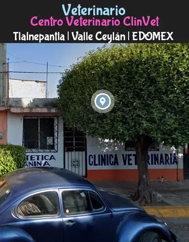 (Tlalnepantla) Valle Ceylán (Clinvet) México EDOMEX
