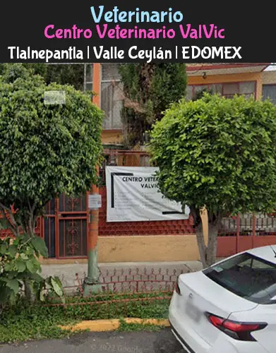 (Tlalnepantla) Valle Ceylán (ValVic) EDOMEX