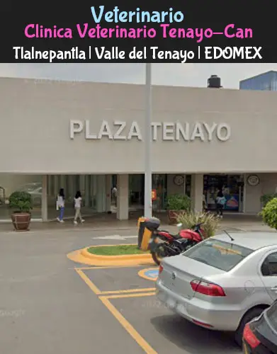 (Tlalnepantla) Valle del Tenayo (Clínica Veterinaria Tenayo-Can) EDOMEX