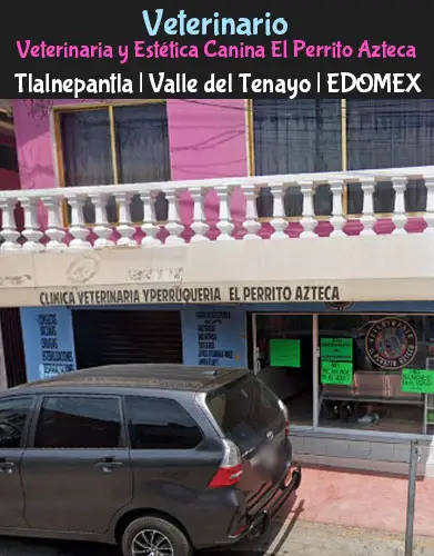 (Tlalnepantla) Valle del Tenayo (Veterinaria y Estética Canina El Perrito Azteca) EDOMEX