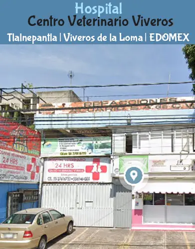 (Tlalnepantla) Viveros de la Loma (Centro Veterinario Viveros) EDOMEX