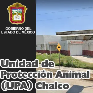 Unidad de Proteccion Animal Chalco EDOMEX Miniatura