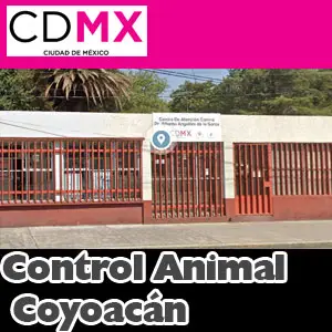 Centro de Atencion Canina Coyoacán CDMX