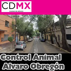 Centro de Control Canino Alvaro Obregon