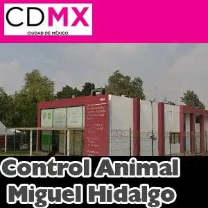 Centro de Control Canino Miguel Hidalgo CDMX