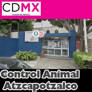 Centro de Control Canino y Felino Azcapotzalco CDMX Miniatura