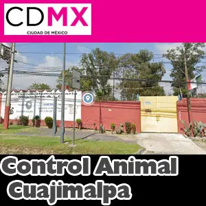 Control Animal Cuajimalpa CDMX