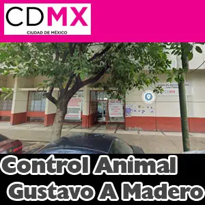 Control Animal Gustavo A Madero CDMX