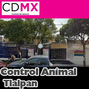 Control Animal Tlalpan CDMX