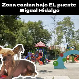 Los mejores parques para perros en la Ciudad de México