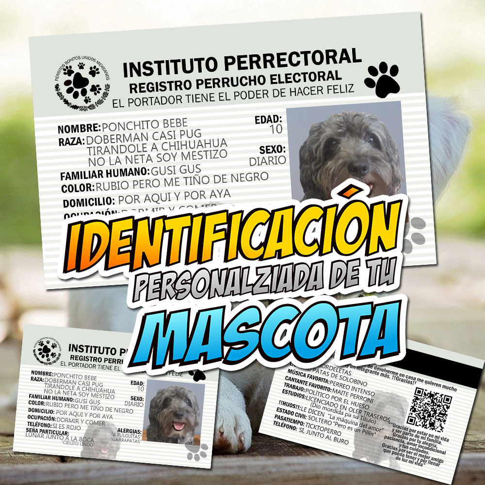 Credencial para Mascota Personalizada IFE Canino Identificador Canino 01
