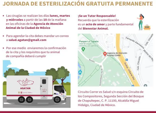 Jornada de esterilización Gratuita Permanente | Miguel Hidalgo | CDMX