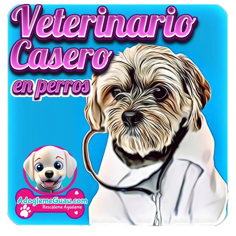 App de Emergencia para la Salud de Mascotas - AMO A MI MASCOTA App de salud para mascotas en emergencias con opciones de medicamentos y remedios caseros