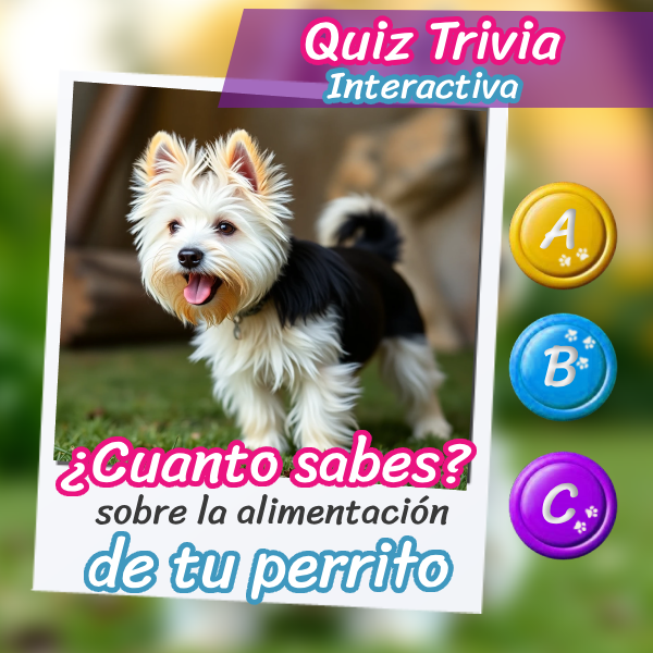 Un perro hermoso acompañado de un texto que dice '¿Cuánto sabes sobre la alimentación de tu perrito?' y 'Trivia interactiva', respecto al artículo optimizado.