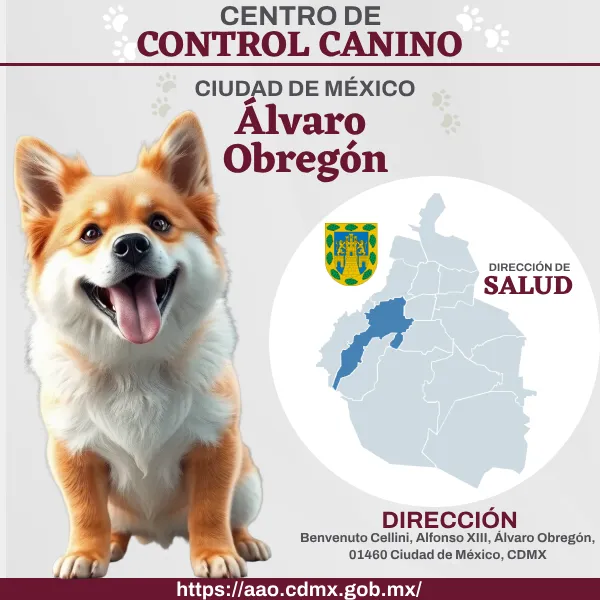 Control Canino Álvaro Obregón Perreras o antirrábicos CDMX.