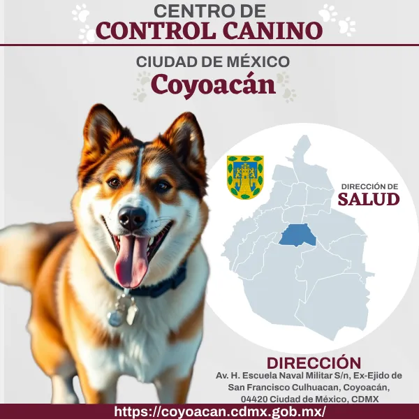 Control Canino Coyoacán CDMX. Perreras o antirrábicos.
