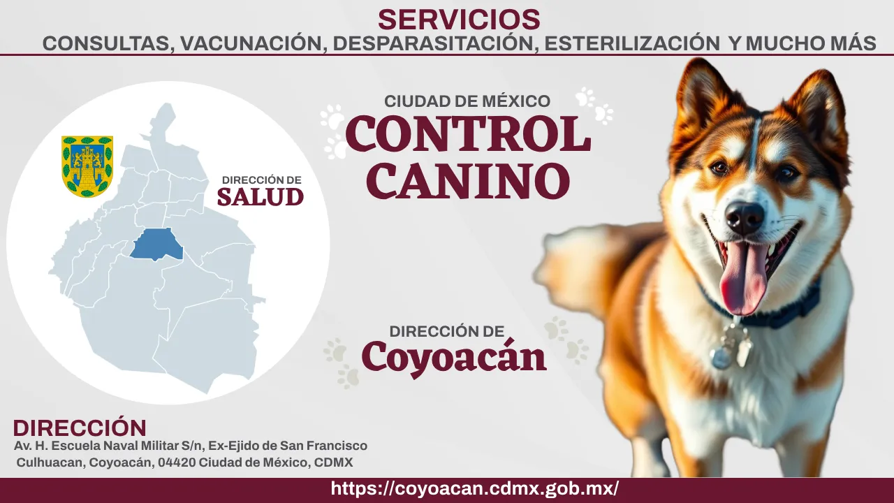 Control Canino Coyoacán CDMX. Perreras o antirrábicos.